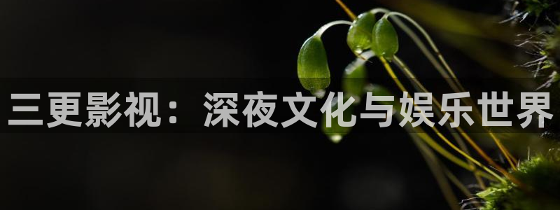 天天影院 午夜