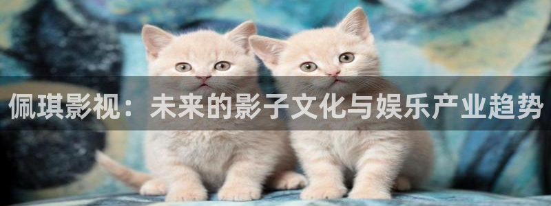 韩国美女午夜片