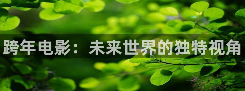 80s电影网午夜理论片