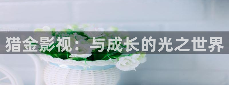 午夜影院中文字幕