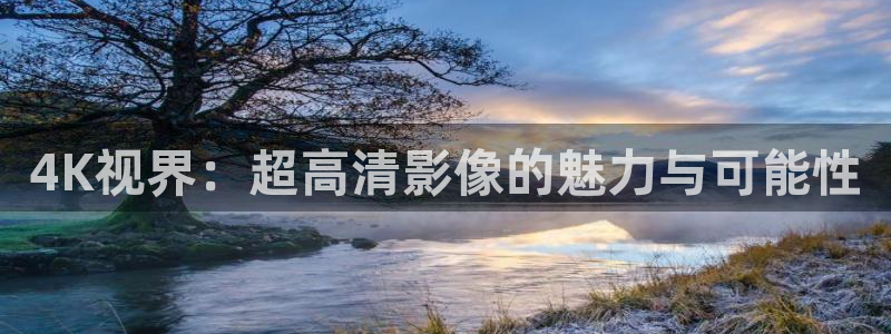 电影网午夜片