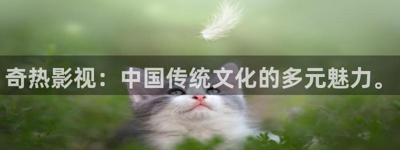 97午夜免费视频