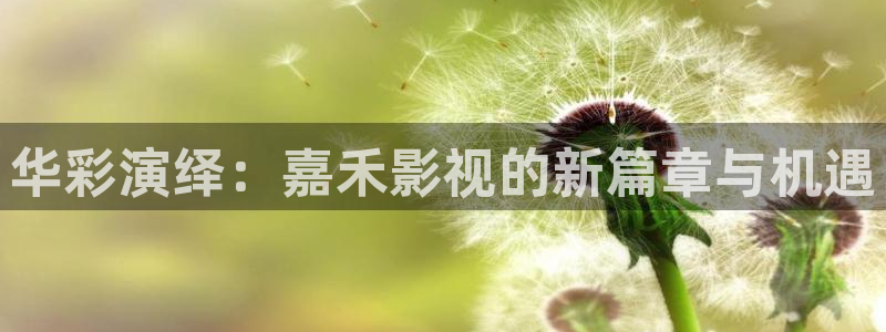 神马手机午夜电影