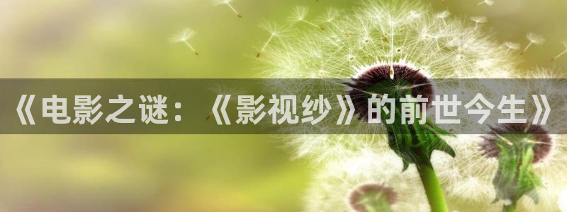 午夜影院达达兔