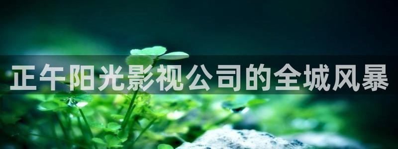草莓视频午夜影院
