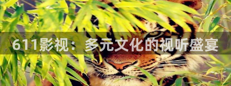 午夜伦理在线观看电影