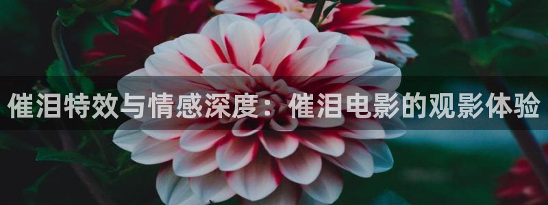 国产精品午夜在线视频