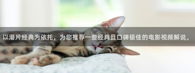 韩国午夜电影在线
