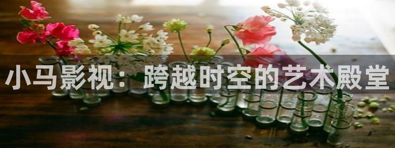 勉费午夜电影