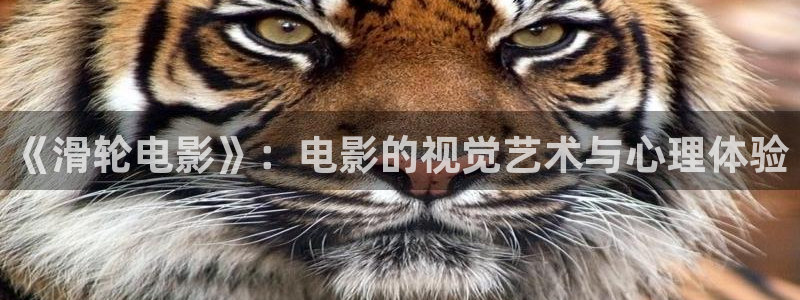 午夜看片1