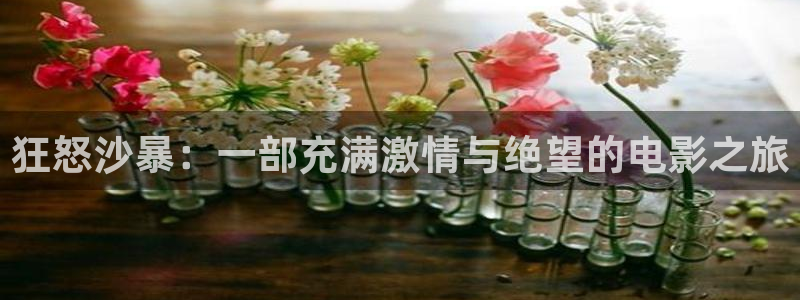 飘雪影院午夜理论片