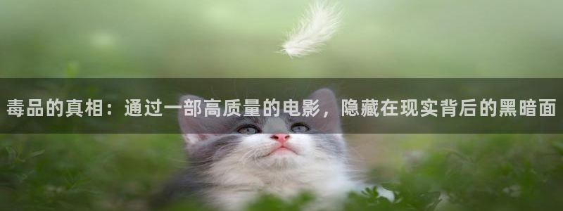 午夜爽爽爽男女免费观看影院