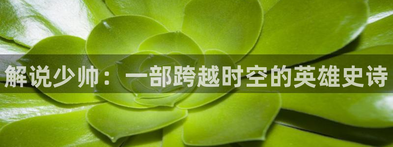 j午夜精品久久久久毛片
