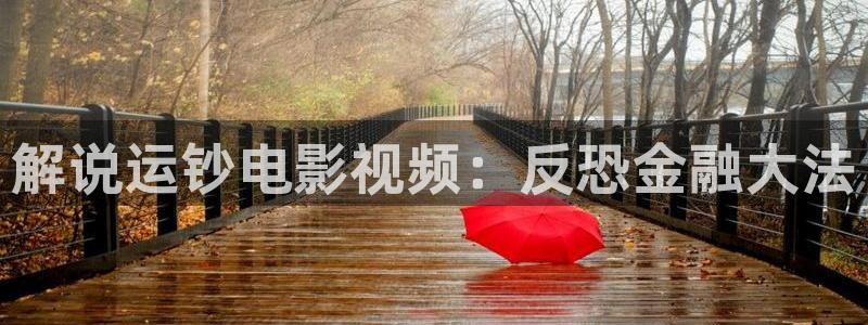 被窝电影午夜