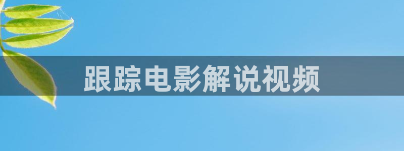 80s午夜电影理论片