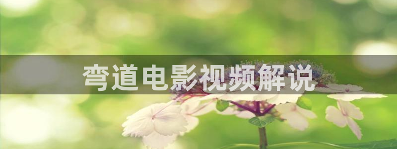 日韩伦理午夜片