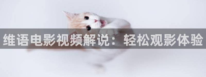 午夜影院在线观看完整版