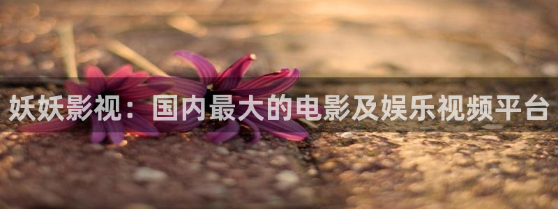 神马手机影院午夜伦理