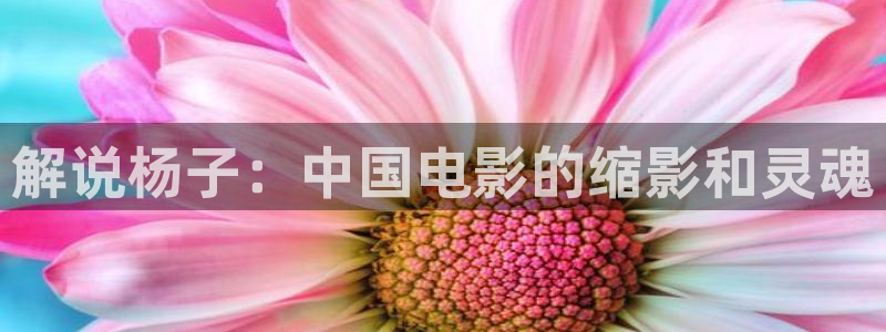 久久爱午夜电影